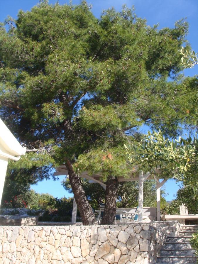 Beach House Blue Lagoon Okrug Gornji Luaran gambar